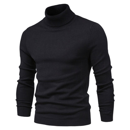 Turtleneck Basic Sweater