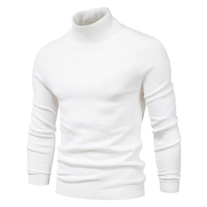 Turtleneck Basic Sweater